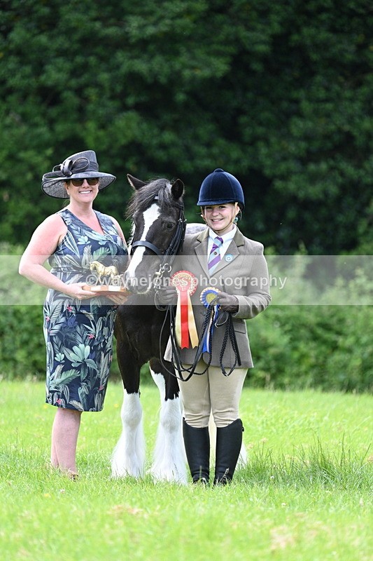 WJ7_1564 - Class 11 Condition & Turnout