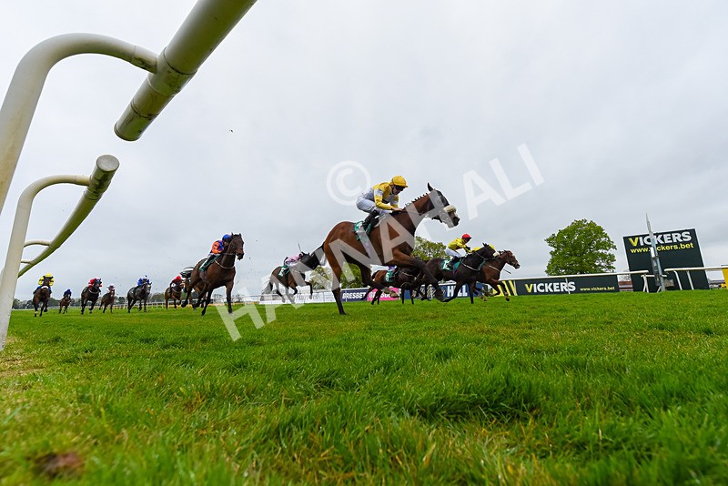 040524-Race 2-Wobwobwob-8651 - Race 2