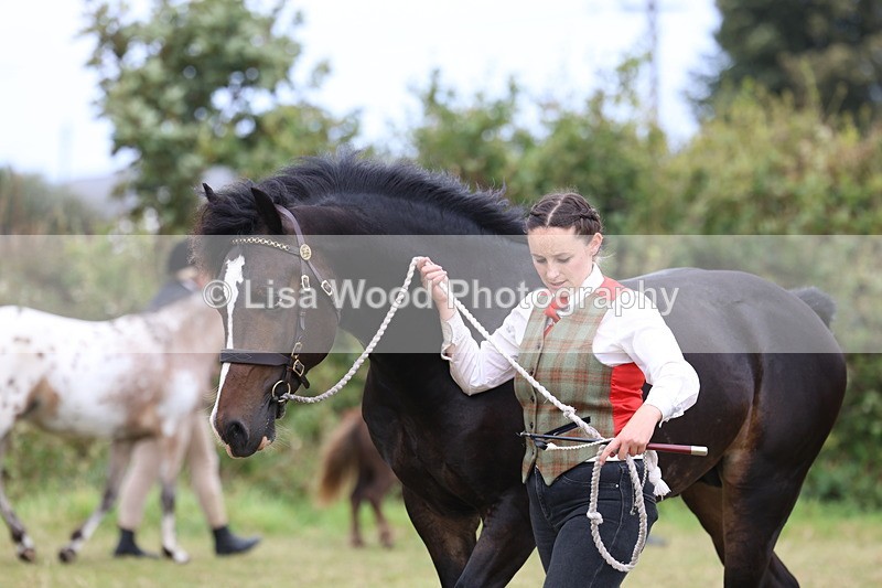 3E7A4242 - Class 15: Two Year Olds