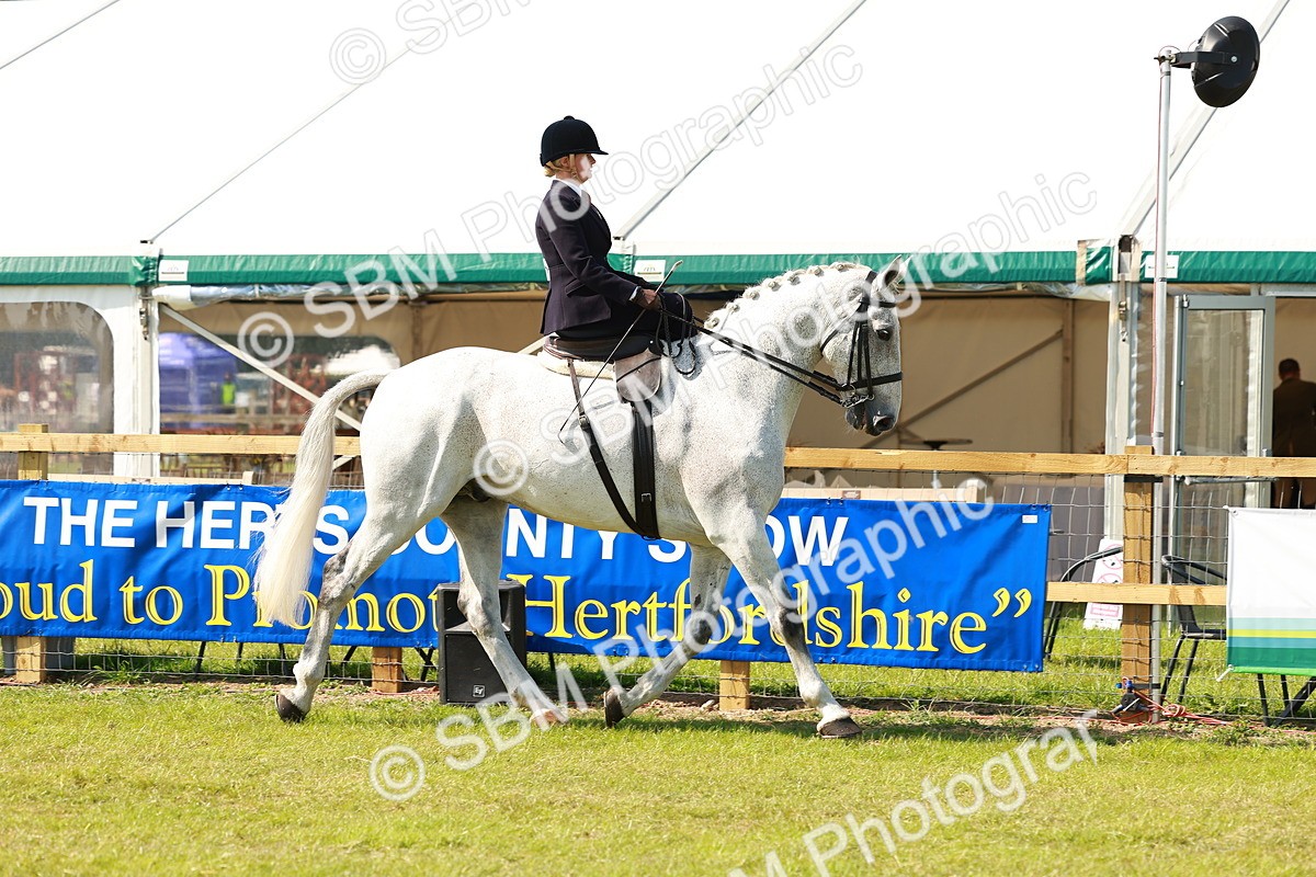 SBM_13113 - Class 70-71 - Side Saddle