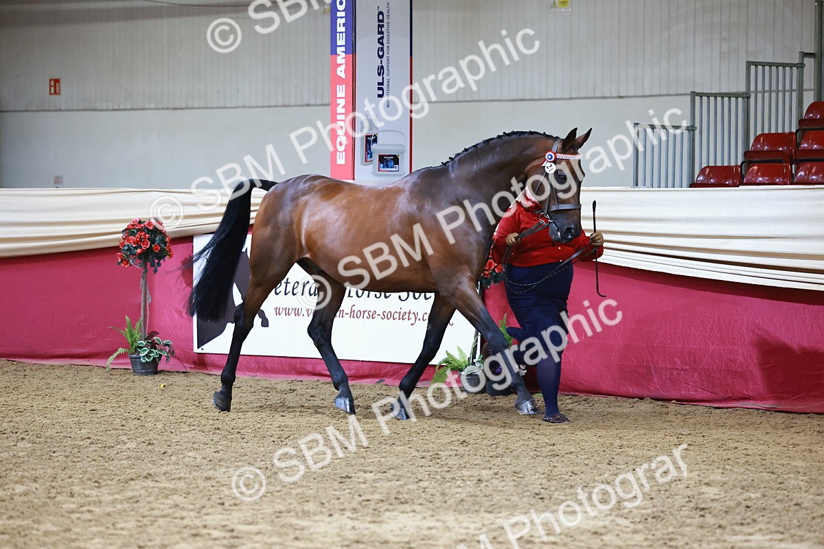 SBM_22249 - Class 902 - Supreme Final - IH Diamond