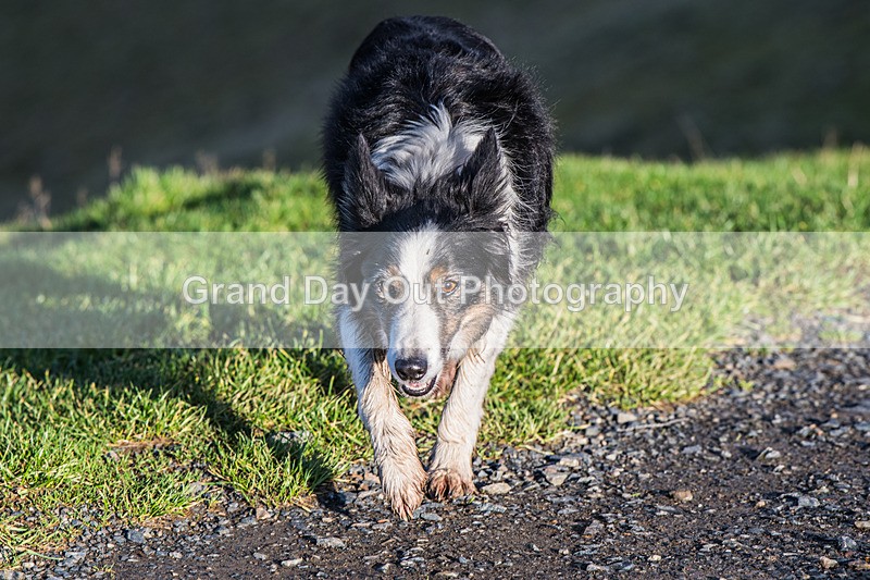 Loopy Latrigg-52 - Kong Running Loopy Latrigg Fell Race Saturday 20th December 2025
