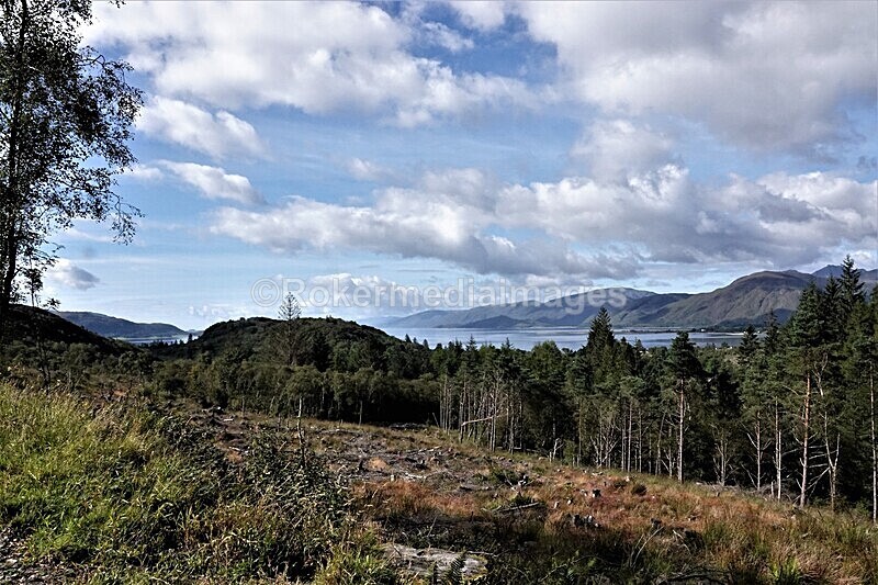 DSC07821 - SEPT 2020 STAYCATION