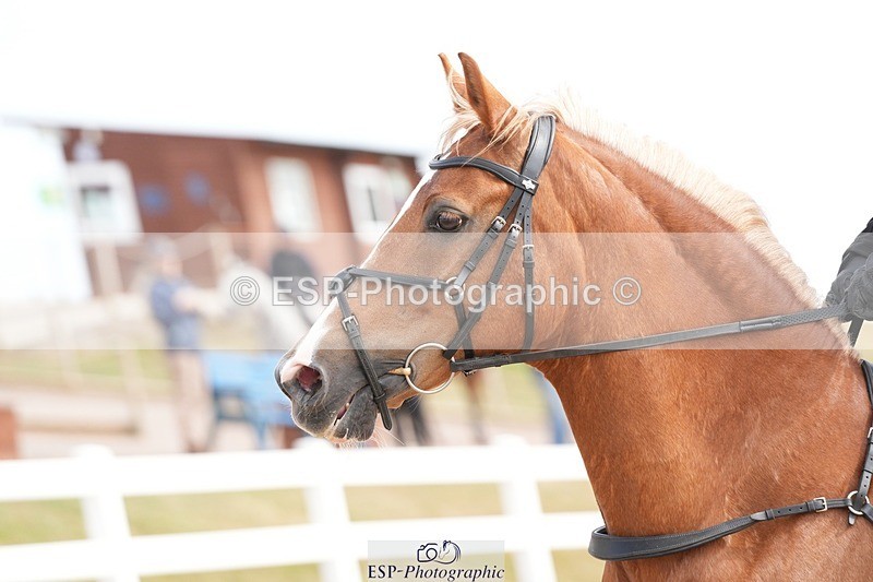 250715-163458-00187 - 70cm