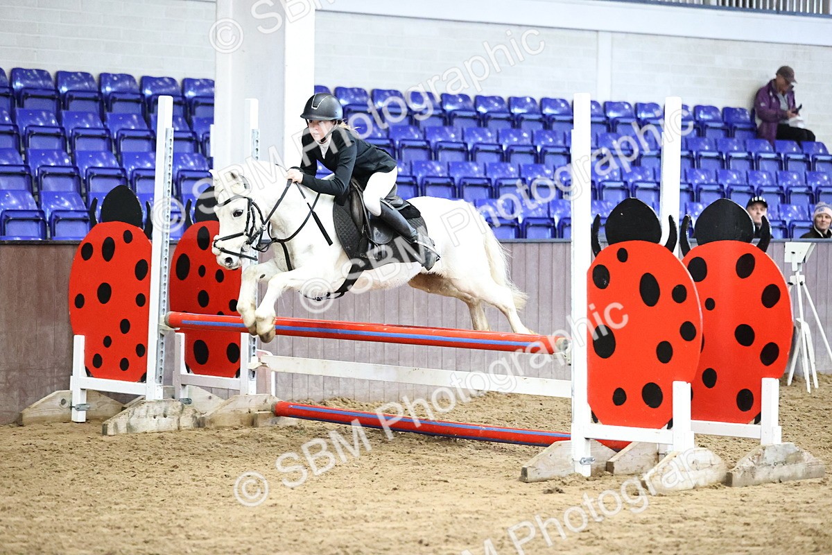 SBM_001409 - Class 9 - Pony British Novice 80cm