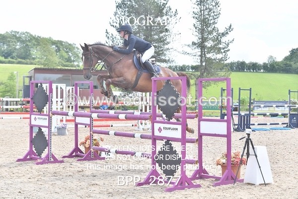 BPP_2877 - SUN CLASS 20 Senior Foxhunter/ 1.20m Open