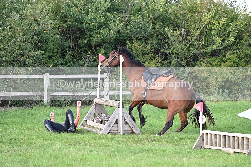 WJ7_1226 - Time 13:56 to 14:24