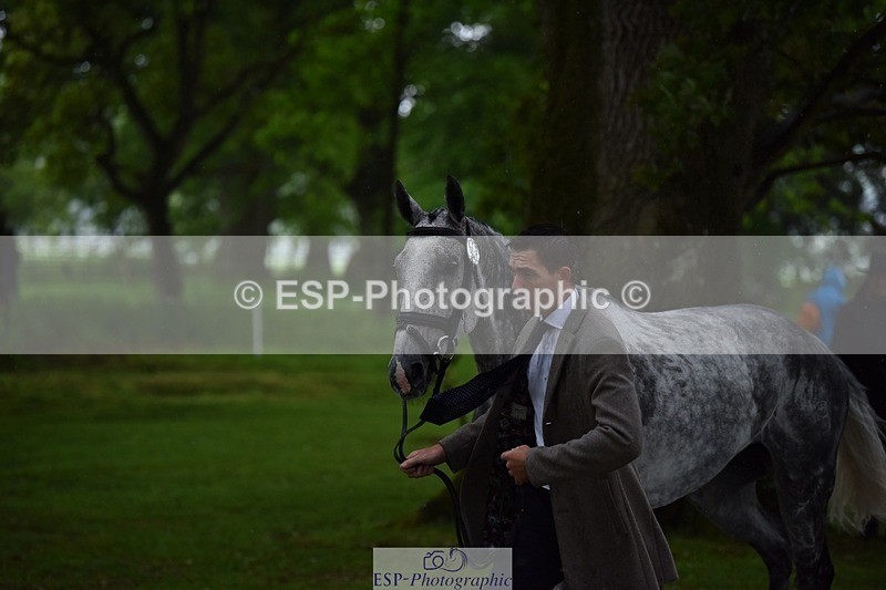 240522-152950-00380 - 361-FENIZIO-Max_Warburton