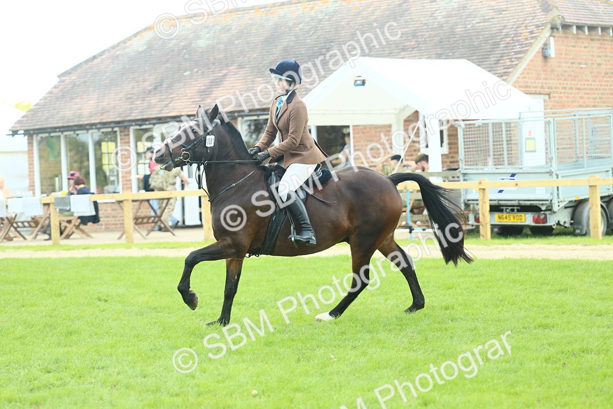 SBM_43016 - S30 - M&M Working hunter Pony