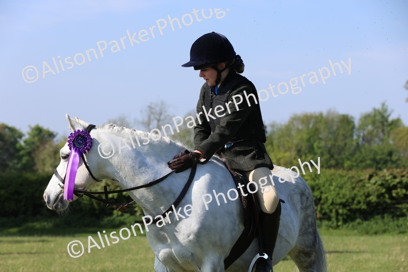 20250427-0597 - Class 17 - Novice Showing