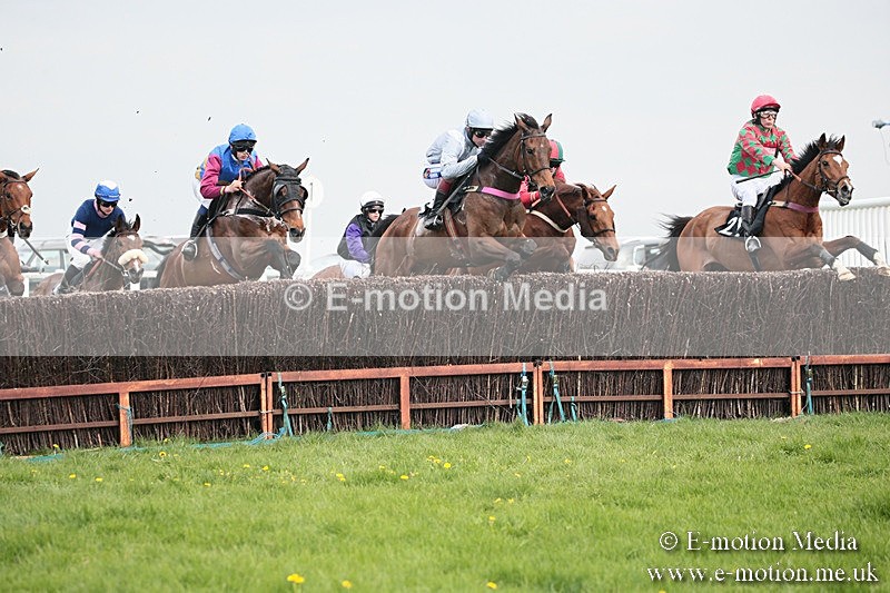 PtP 210418 331 - South & West Wilts Point-to-Point Larkhill 21/04/18
