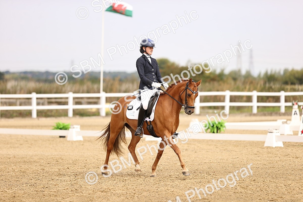 SBM_011685 - Class 1 - Medium 5