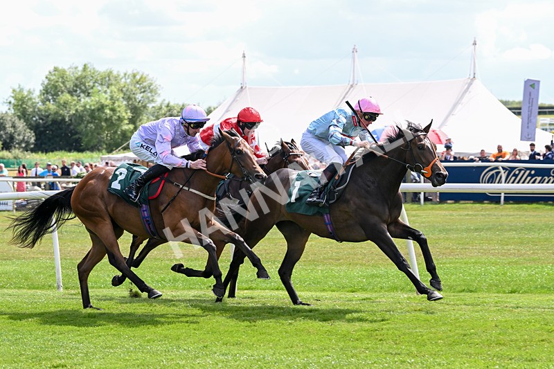 160725-Race 2-Shetakesthegold-8850 - Race 2