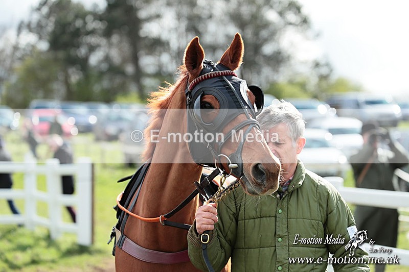 PtP 230324 644 - Tedworth Hunt PtP Larkhill Raccourse 23rd March 2024
