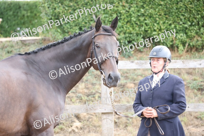 20260831-1920 - Class 5 - Retraining of Racehorses