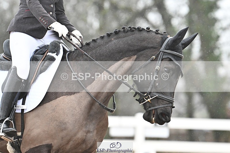 250215-134038-03905 - 191-Julia.Walker-Maygar.Tiki