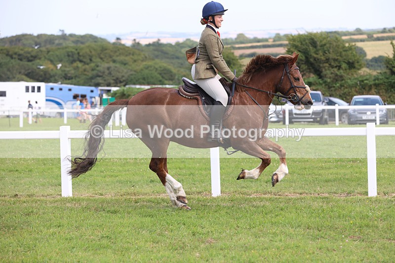 JPP_3865 - Class 23: Working Hunter 80cm