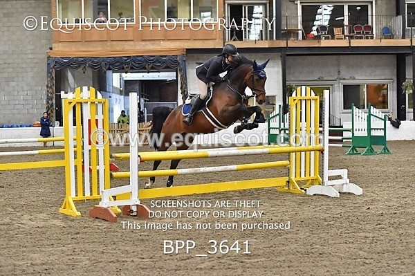 BPP_3641 - FRI CLASS 21 BR NOVICE/90CM