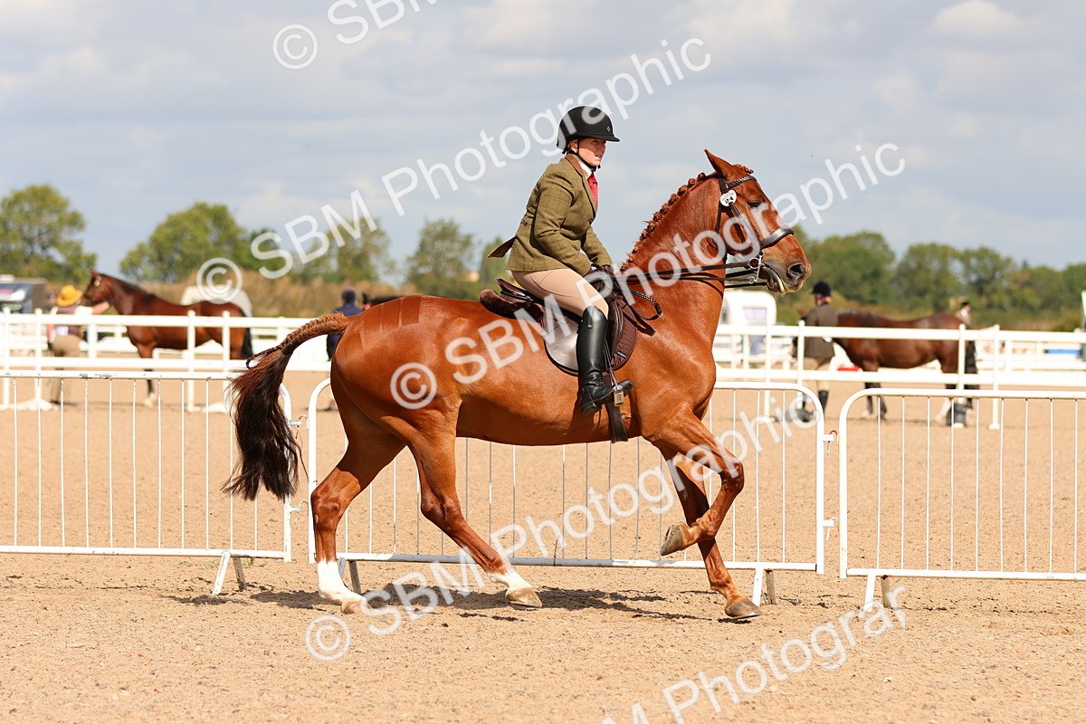 SBM_13199 - Class 211 - Ridden Hunter - Small