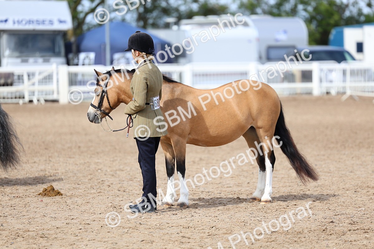SBM_02390 - Class 19 - Horse or Pony Judge would most like to take home