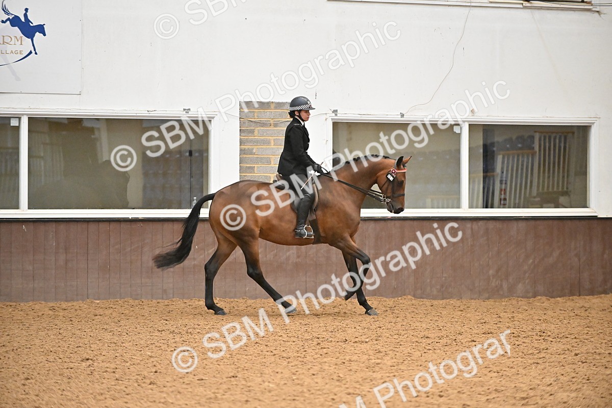 SBM_002368 - Class 22 - BSHA Ridden Hack & Riding Horse