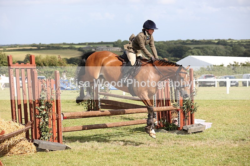 JPP_2631 - Class 20: Working Hunter 70cm