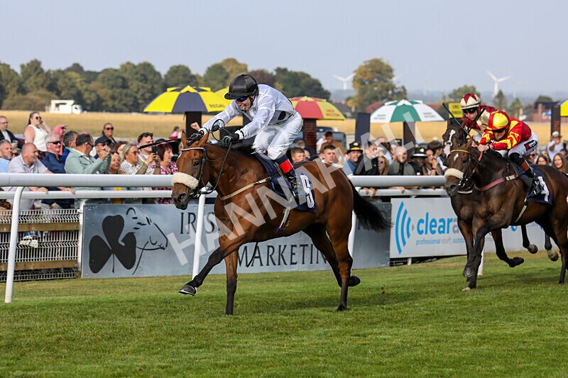 310824-Race 7-Zapphire-2145 - Race 7