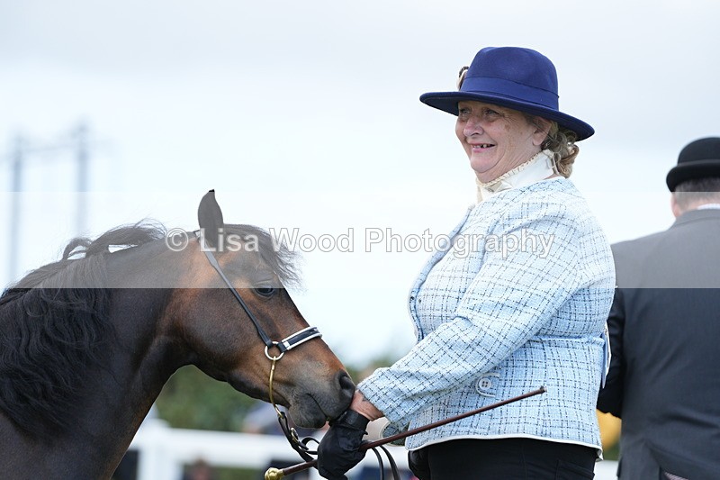 DSC06619 - Class 57: Miniature Horse 4yrs & over