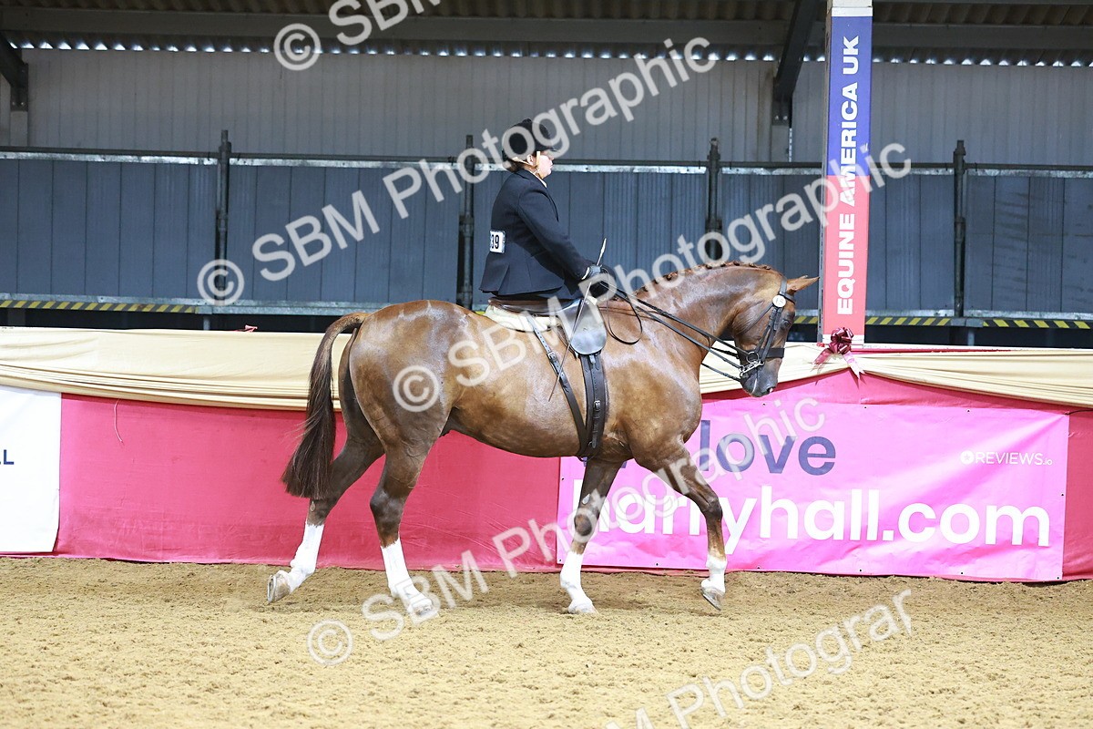 SBM_12390 - Class 103 - HOYS Veteran Qualifier - Ridden Pre Vet