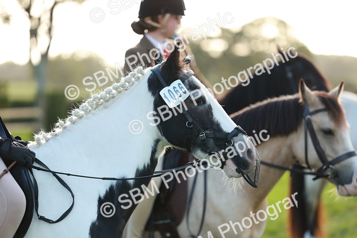 SBM_28796 - S7 - Novice & Newcomer Ridden Pony