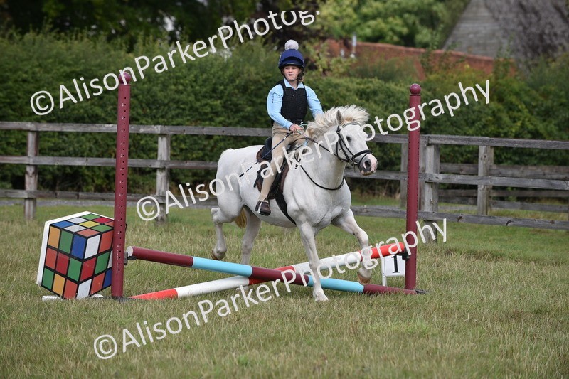 20250831-1786 - Class 8 - Hoof and Foot