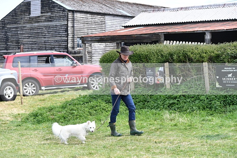 WJ5_0747 - Best in Show Championship