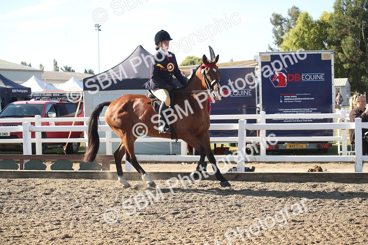 SBM_11356 - Class 501 -Riding Club Pony