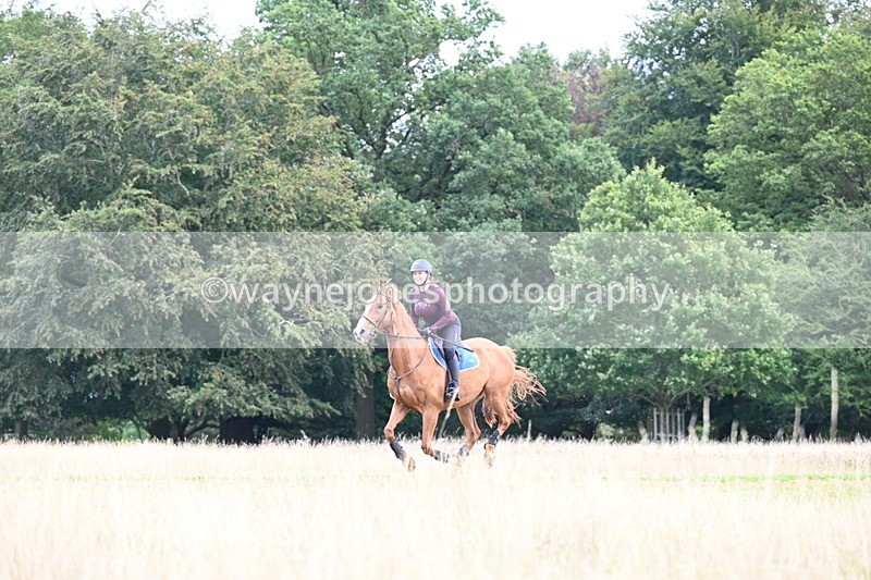 DSC_7005 - Time at Statue 12:45 to 13:15