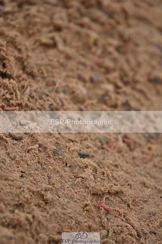 231028A-141234-01847 - Cls 5 Foxhunter & 1.10m Open