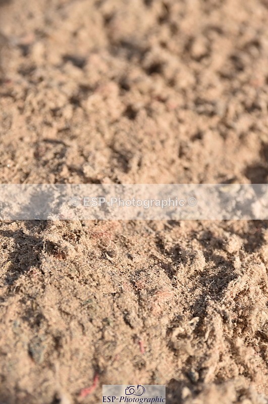 231015A-121712-07945 - Cls 24 85cm Amateur Q