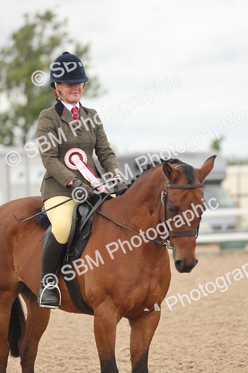 SBM_16083 - Class 311 - Ridden Show pony-Show hunter Pony