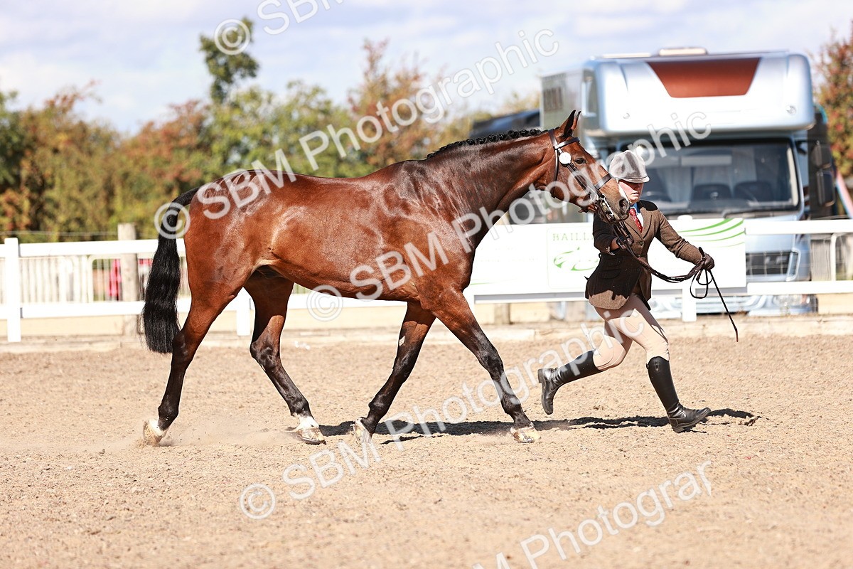 SBM_13291 - class 406 - IH Hunter