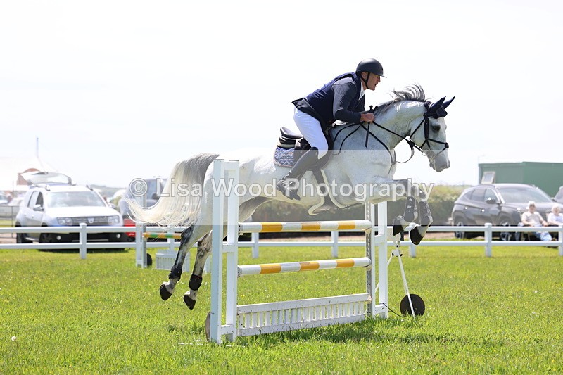 3E7A1282 - Class 12: Senior Foxhunter/1.20 open