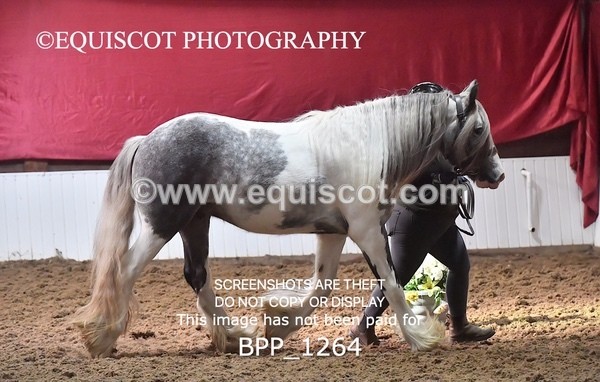 BPP_1264 - MORNING 9AM - 12PM