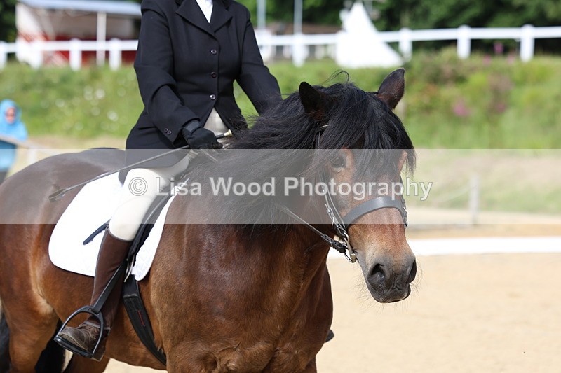 3E7A1369 - Class 1: Intro 2 2024 Section A