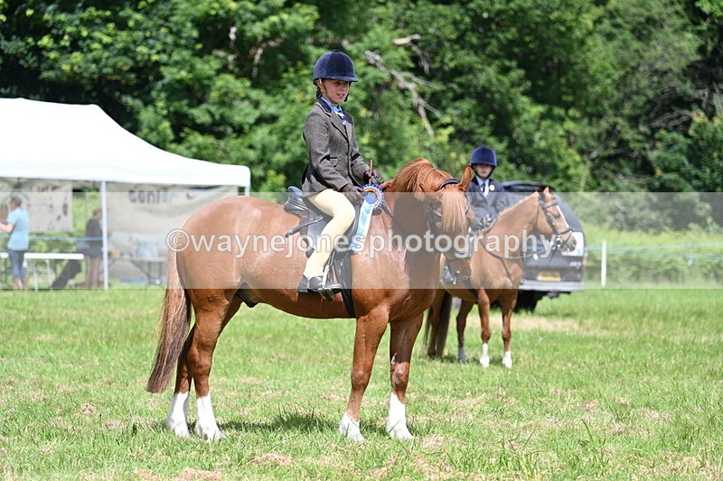 WJ7_1798 - Class 9 Pony Club Pony