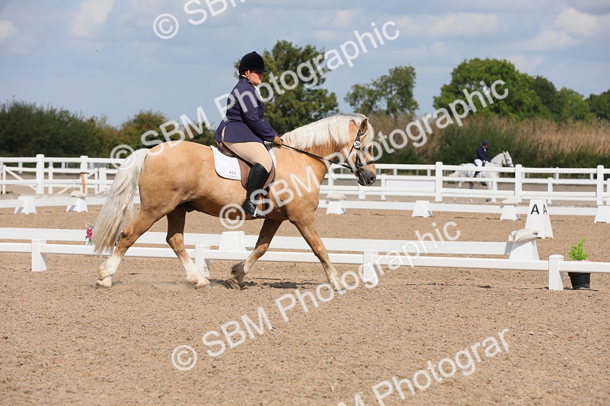 SBM_04024 - Class 31 Prelim 1