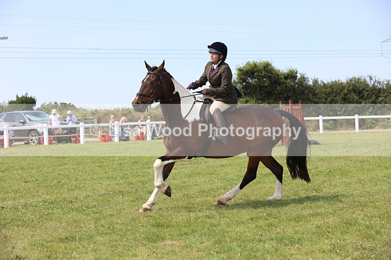 JPP_3635 - Class 23: Working Hunter 80cm