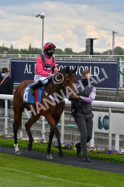 yr12052021r3-3 - Race 3 2.40pm Duke of York Clipper Logistics Stakes