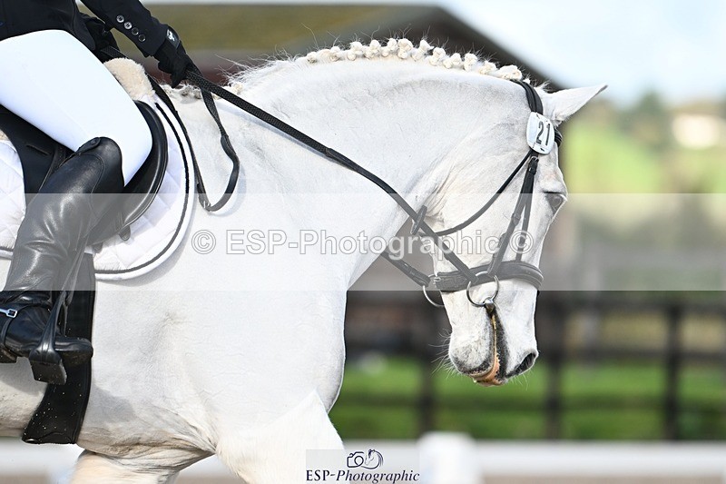 231105-123557-01677 - Cls 2 Prelim 7 12.41 to End