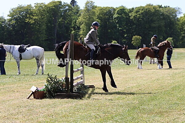 IMG_4278 - Working Hunter