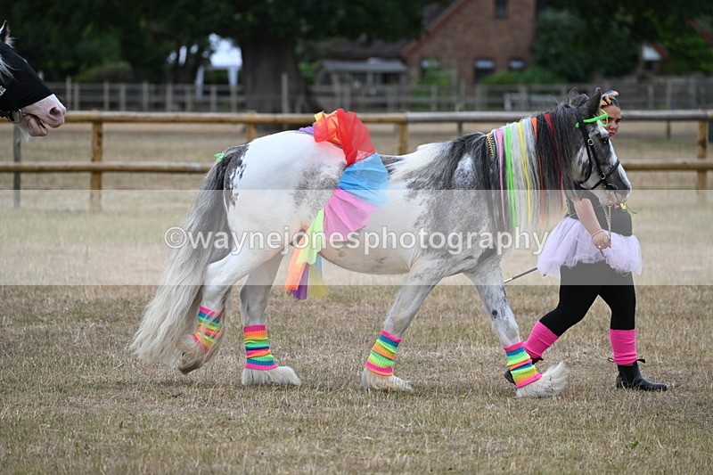 WJ6_8825 - Class 11 Fancy Dress