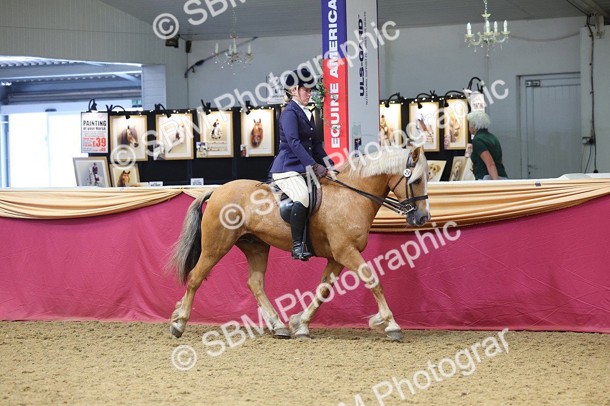SBM_23481 - Class 904 - Supreme Final Ridden Diamond