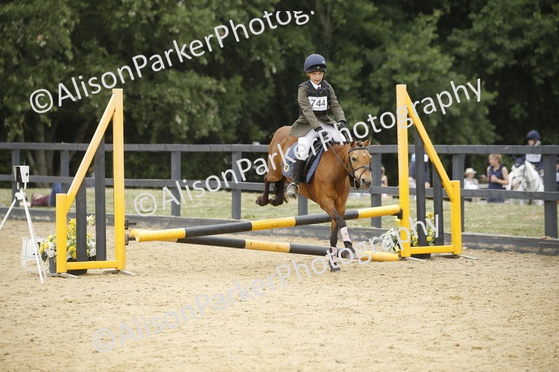 20250622-6248 - 60cm